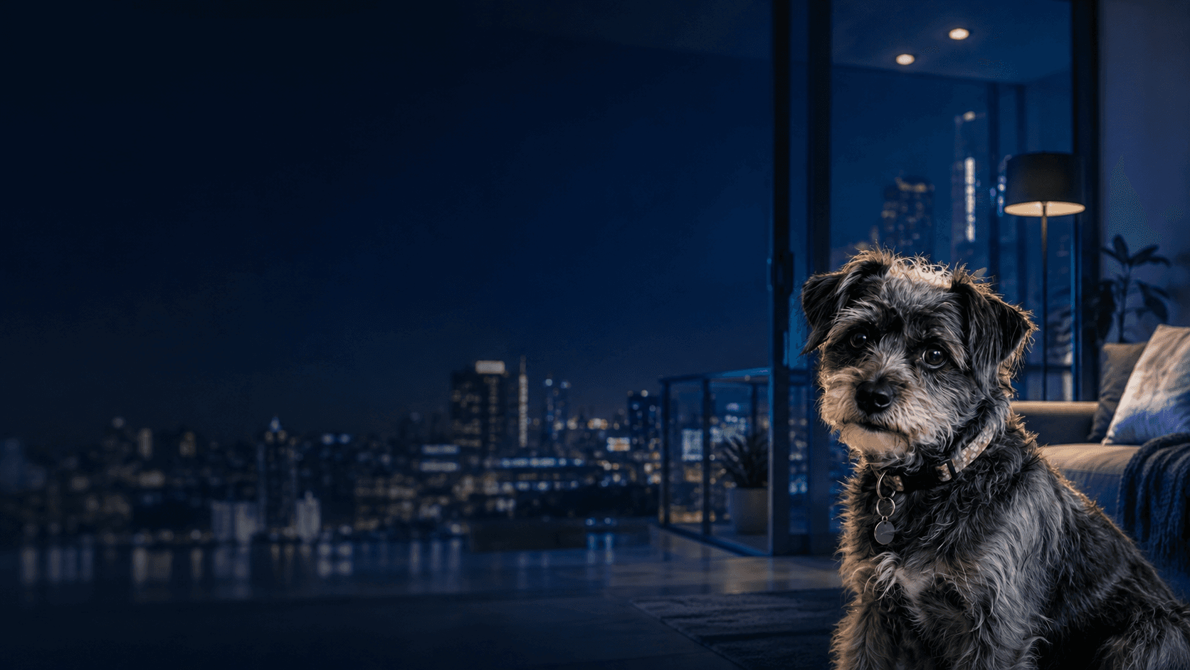 Toby, mascote da Coneclar, em apartamento com vista para a cidade