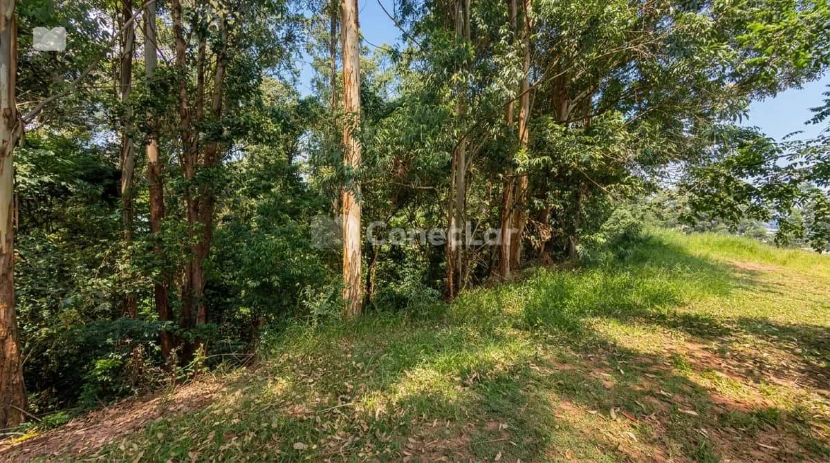 Terreno à venda no Tamboré 01 com 2.916m² e projeto renomado