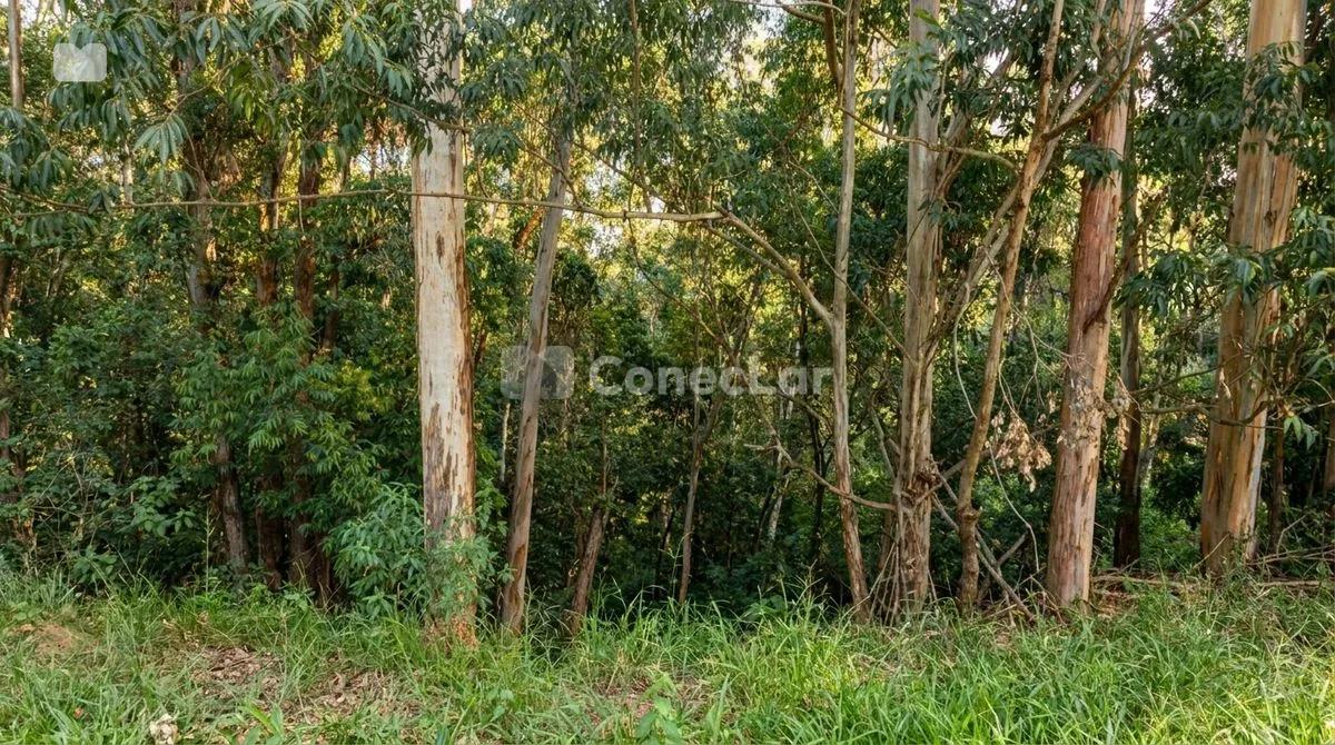 Terreno à venda no Tamboré 01 com 2.916m² e projeto renomado