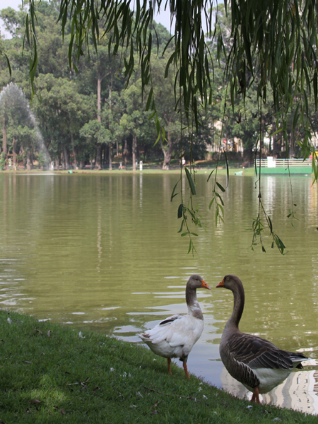 Você conhece o Parque de Barueri?